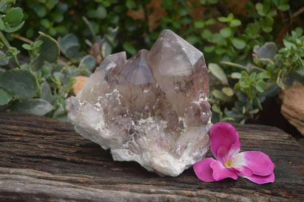 Natural Red Hematoid Quartz Cluster  x 1 From Karoi, Zimbabwe - TopRock