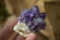 Natural Dark Amethyst Crystal Clusters  x 12 From Zambia