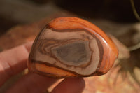 Polished One Side Polished Polychrome Jasper Nodules  x 12 From Mahajanga, Madagascar