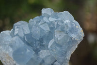 Natural Blue Celestite Crystal Specimens  x 3 From Sakoany, Madagascar - Toprock Gemstones and Minerals 