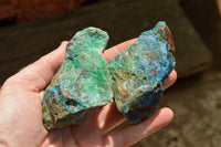 Natural Rough Blue Shattuckite Specimens  x 12 From Namibia - TopRock