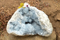 Natural Extra Large Blue Celestite Geode With Cubic Crystals  x 1 From Sakoany, Madagascar - TopRock