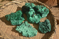 Natural Chatoyant Silky Malachite Specimens  x 4 From Kasompe, Congo