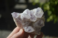 Natural Sugar Amethyst Clusters  x 4 From Solwezi, Zambia