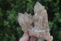 Natural Cascading White Phantom Quartz Clusters  x 3 From Luena, Congo - Toprock Gemstones and Minerals 