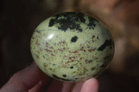 Polished Spotted Leopard Stone Gallets  x 6 From Zimbabwe