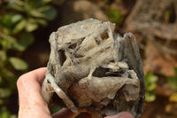 Natural Rare Bladed Barite Specimens  x 2 From Tenke Fungurume, Congo - TopRock