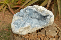 Natural Extra Large Blue Celestite Geode With Cubic Crystals  x 1 From Sakoany, Madagascar - TopRock