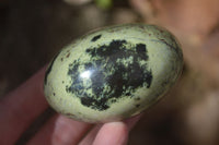 Polished Spotted Leopard Stone Gallets  x 6 From Zimbabwe