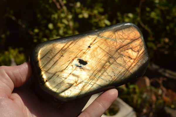 Polished Labradorite Standing Free Forms With Intense Blue & Gold Flash x 3 From Sakoany, Madagascar - TopRock