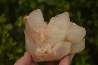 Natural White Phantom "Cathedral Window" Quartz Clusters  x 3 From Madagascar