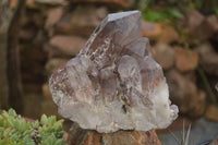 Natural Red Hematoid Quartz Cluster  x 1 From Karoi, Zimbabwe - TopRock