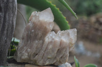 Natural Cascading White Phantom Quartz Clusters  x 3 From Luena, Congo - Toprock Gemstones and Minerals 