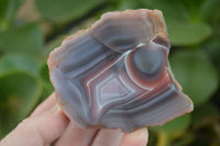 Polished Banded River Agate Nodules  x 4 From Sashe River, Zimbabwe - Toprock Gemstones and Minerals 