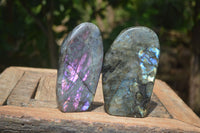 Polished Labradorite Standing Free Forms With Purple & Blue Flash  x 2 From Tulear, Madagascar - Toprock Gemstones and Minerals 