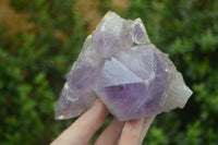 Natural Jacaranda Amethyst Clusters  x 3 From Mumbwa, Zambia - Toprock Gemstones and Minerals 