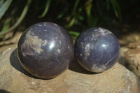 Polished Purple Lepidolite Spheres  x 3 From Zimbabwe - Toprock Gemstones and Minerals 