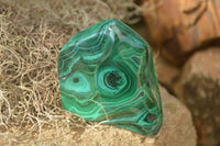 Polished Flower Malachite Free Forms  x 6 From Congo - Toprock Gemstones and Minerals 