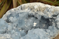 Natural Extra Large Blue Celestite Geode With Cubic Crystals  x 1 From Sakoany, Madagascar - TopRock