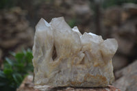 Natural Cascading White Phantom Quartz Clusters  x 3 From Luena, Congo - Toprock Gemstones and Minerals 