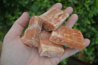 Natural New Sunset Orange Calcite Specimens  x 24 From Spitzkop, Namibia - Toprock Gemstones and Minerals 