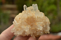 Natural Small Mixed Quartz Clusters & Crystals  x 24 From Madagascar - TopRock