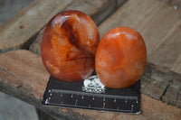 Polished Carnelian Agate Standing Free Forms  x 6 From Madagascar - Toprock Gemstones and Minerals 