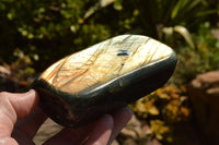 Polished Labradorite Standing Free Forms With Intense Blue & Gold Flash x 3 From Sakoany, Madagascar - TopRock