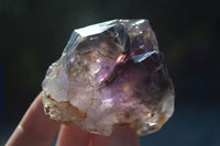 Natural New Window Amethyst Crystals  x 6 From KZN, South Africa - Toprock Gemstones and Minerals 