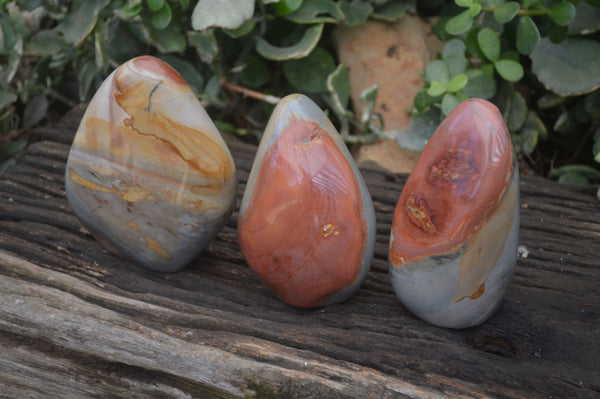 Polished Polychrome / Picasso Jasper Standing Free Forms  x 3 From Madagascar