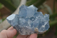 Natural Blue Celestite Crystal Specimens  x 3 From Sakoany, Madagascar - Toprock Gemstones and Minerals 