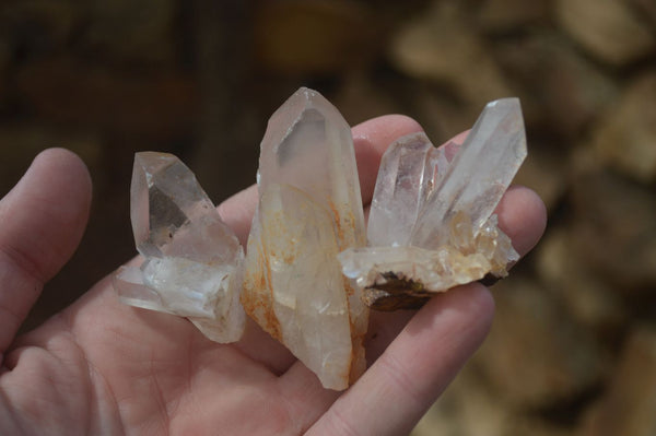 Natural Small Quartz Clusters  x 35 From Madagascar