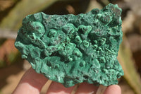 Natural Chatoyant Silky Malachite Specimens  x 4 From Kasompe, Congo