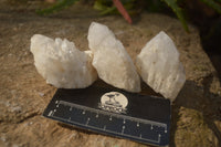 Natural Pineapple Quartz Crystals  x 35 From Madagascar