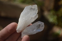 Natural Small Sugar Quartz Crystals x 35 From Madagascar