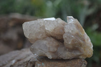 Natural Cascading White Phantom Quartz Clusters  x 3 From Luena, Congo - Toprock Gemstones and Minerals 