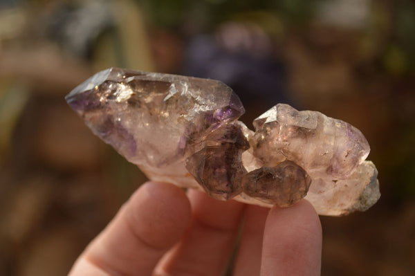 Natural Window Amethyst Crystal Specimens  x 6 From Chiredzi, Zimbabwe