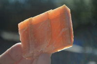 Natural New Sunset Orange Calcite Specimens  x 24 From Spitzkop, Namibia - Toprock Gemstones and Minerals 