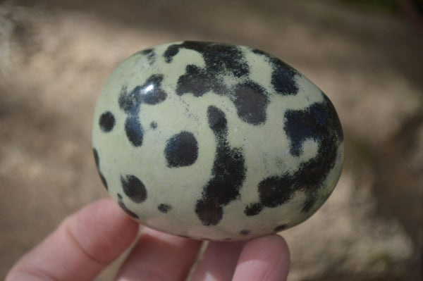 Polished Spotted Leopard Stone Gallets  x 6 From Zimbabwe