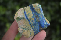 Natural Azurite & Malachite On Dolomite Specimens  x 12 From Southern Africa - Toprock Gemstones and Minerals 