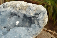 Natural Extra Large Blue Celestite Geode With Cubic Crystals  x 1 From Sakoany, Madagascar - TopRock