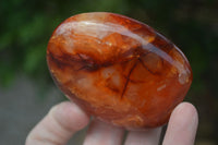 Polished Carnelian Agate Standing Free Forms  x 6 From Madagascar - Toprock Gemstones and Minerals 