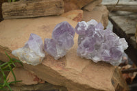 Natural Jacaranda Amethyst Clusters  x 3 From Mumbwa, Zambia - Toprock Gemstones and Minerals 