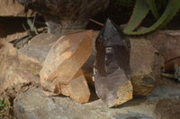 Polished Double Terminated Smokey Quartz Crystals  x 2 From Southern Africa