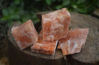 Natural New Sunset Orange Calcite Specimens  x 24 From Spitzkop, Namibia - Toprock Gemstones and Minerals 