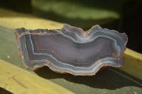 Polished River Agate Nodules  x 12 From Sashe River, Zimbabwe