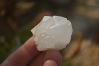 Natural Pineapple Quartz Crystals  x 35 From Madagascar