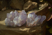 Natural Jacaranda Amethyst Clusters x 2 From Zambia