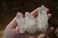 Natural Small Sugar Quartz Crystals x 35 From Madagascar