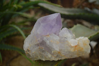 Natural Jacaranda Amethyst Clusters  x 3 From Mumbwa, Zambia - Toprock Gemstones and Minerals 